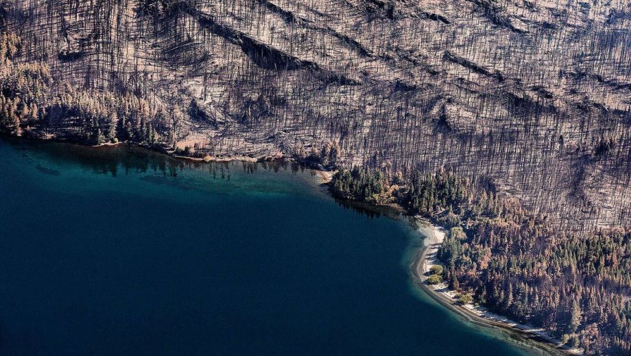 Puerto Patriada después del paso del fuego. Foto: Matias Garay (Greenpeace). 
