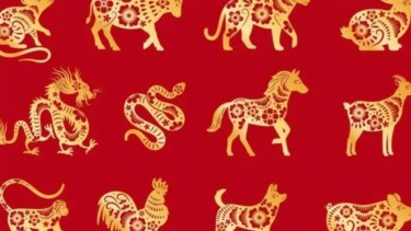Horóscopo Chino: qué decisiones económicas conviene tomar hoy si sos del signo Gallo, Perro o Cerdo
