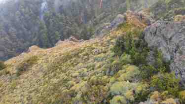 Alerta por viento en El Hoyo y Epuyén: ráfagas de hasta 87 km/h en la zona del incendio, las lluvias traerían calma