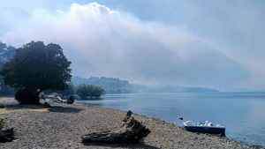 Incendios en la Patagonia: dónde comunicarte si ves una columna de humo, números de emergencia