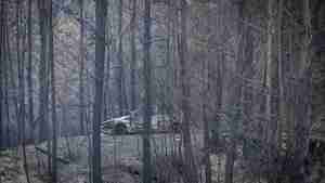 Incendios en la Patagonia: el relato en primera persona del fuego en Epuyén y el temor a que «se vuelva a quemar»