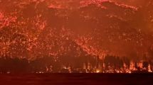 Imagen de Incendios en la Patagonia: Bariloche envió refuerzos para combatir el fuego en Puerto Patriada