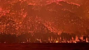 Incendios en la Patagonia: Bariloche envió refuerzos para combatir el fuego en Puerto Patriada