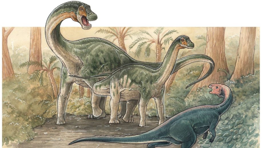 Yeneen houssayi fue un titanosaurio que vivió hace 83 millones de años/Gabriel Lío