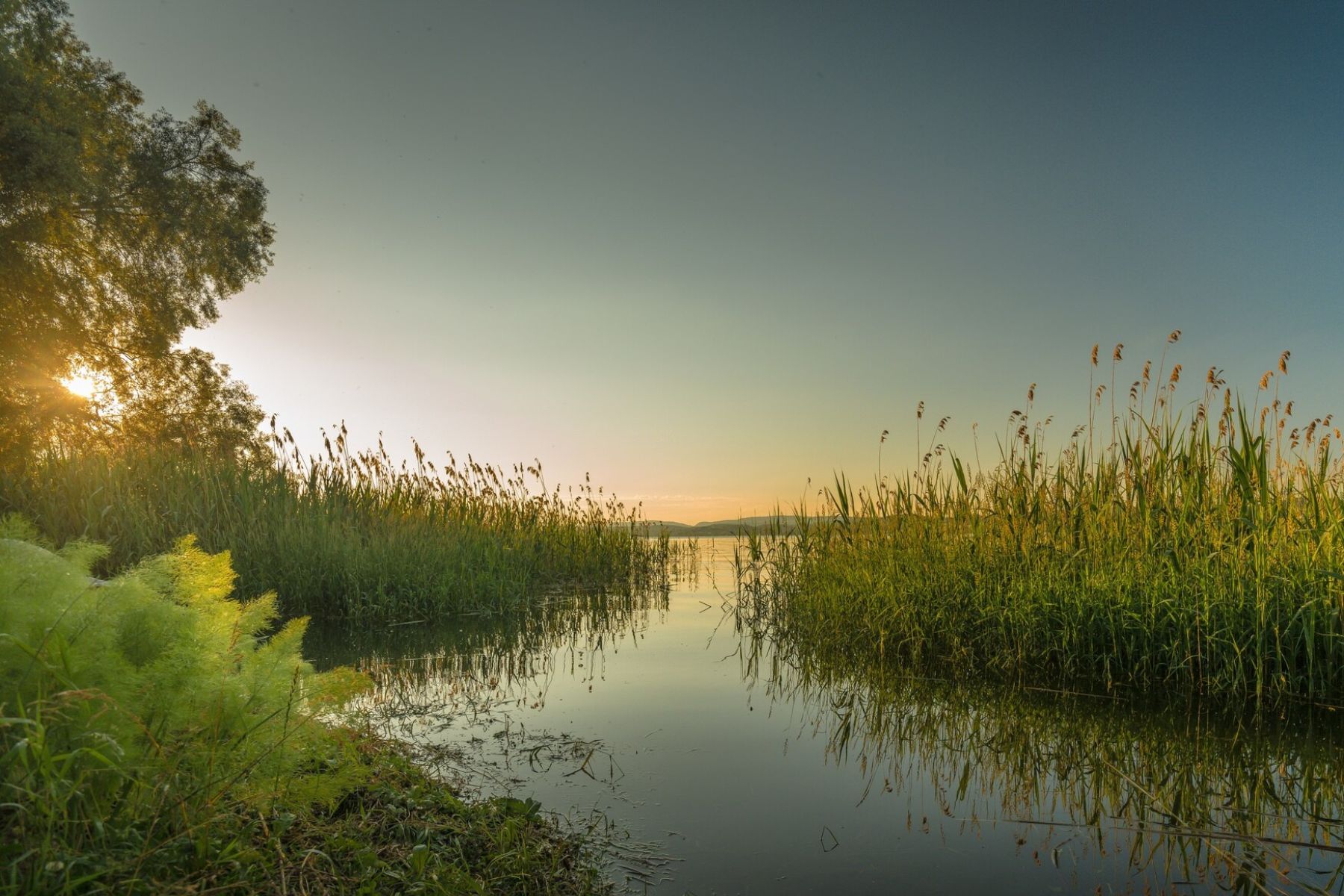 Día Mundial de los Humedales: la ONU destaca al saber indígena como clave