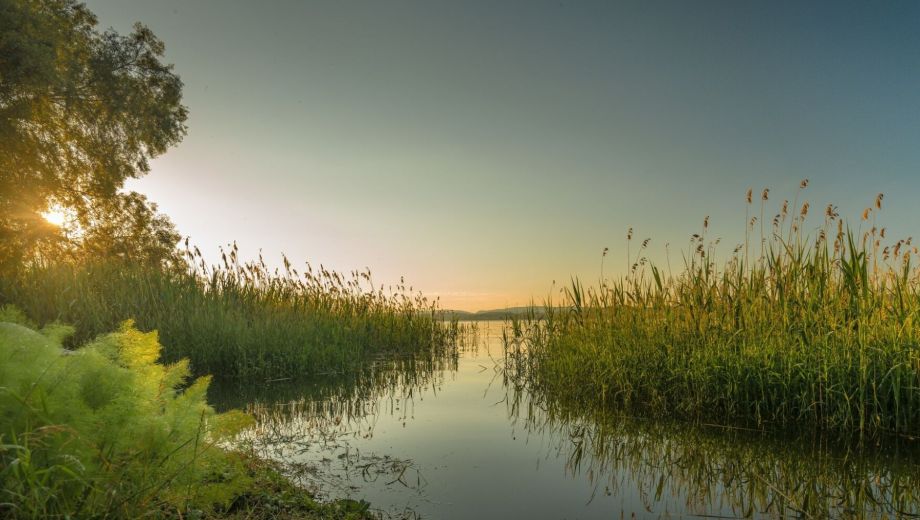 La ONU destaca que la biodiversidad global depende de ecosistemas como los humedales