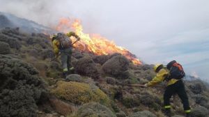 Incendio en Los Glaciares: ya son 700 las hectáreas consumidas por el fuego, el detalle de los focos activos
