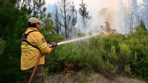 Incendios en la Patagonia: Nación confirmó que se extinguieron «22 de los 32» focos en Chubut