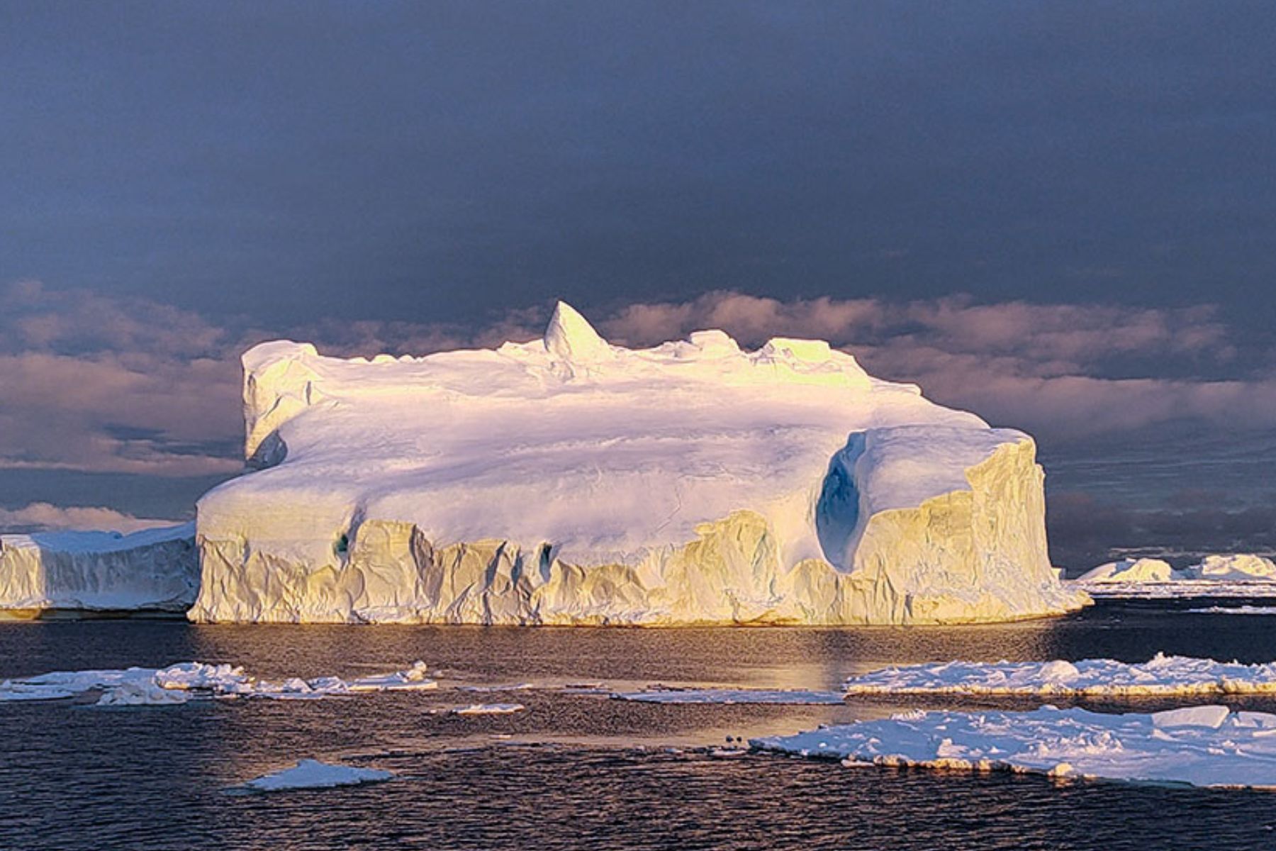 Cómo detectar vida donde parece que no hay nada en la Antártida