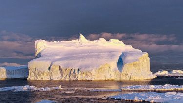 Cómo detectar vida donde parece que no hay nada en la Antártida