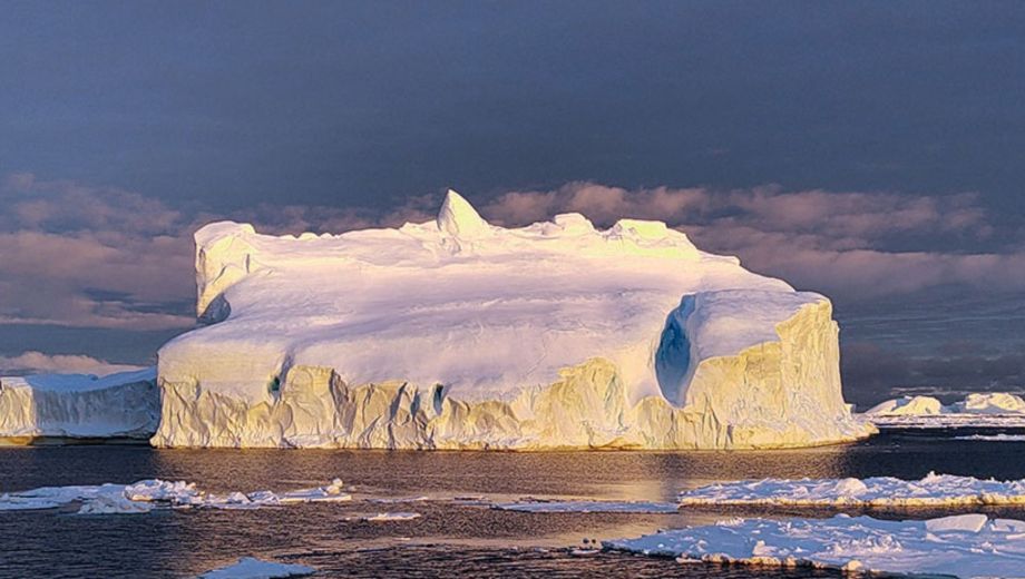 Un grupo de científicos utilizó el ADN ambiental para detectar especies ocultas en la Antártida