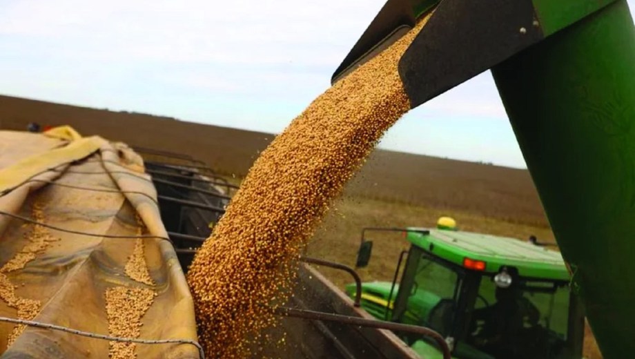 Año récord para las exportaciones agroindustriales argentinas. 