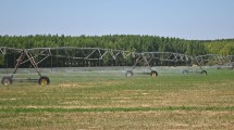 Imagen de 5.000 nuevas hectáreas bajo riego en Vaca Muerta: Neuquén busca aprovechar el agua que transporta la industria petrolera