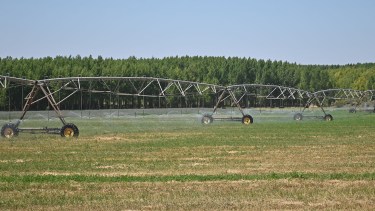 5.000 nuevas hectáreas bajo riego en Vaca Muerta: Neuquén busca aprovechar el agua que transporta la industria petrolera