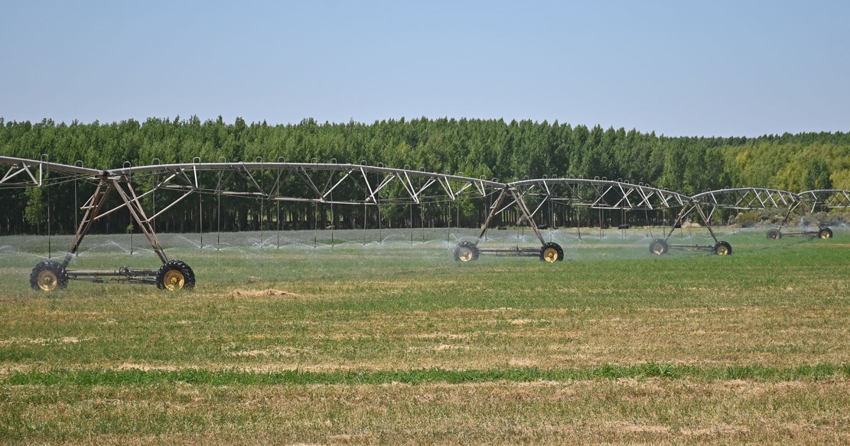 Neuquén incorpora 5.000 hectáreas bajo riego aprovechando agua de Vaca Muerta