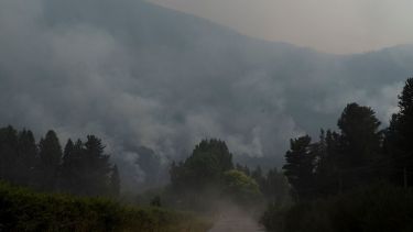 Incendios en la Patagonia: aumentan las consultas por afecciones respiratorias, oculares y psicológicas