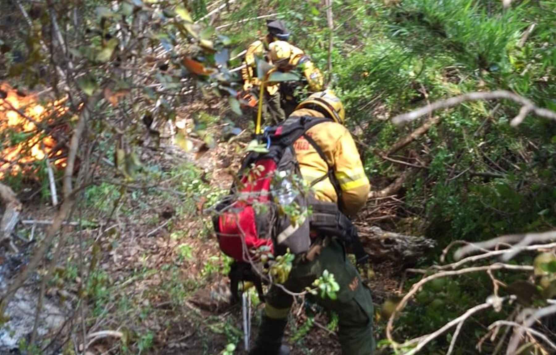 Incendio en Los Alerces: el Parque Nacional Lanín envió brigadistas ...