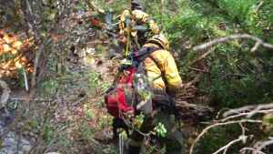 Incendio en Los Alerces: el Parque Nacional Lanín envió brigadistas para reforzar el combate