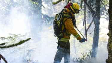 Neuquén tiende la mano a Chile: brigadistas y personal sanitario viajan a combatir los incendios
