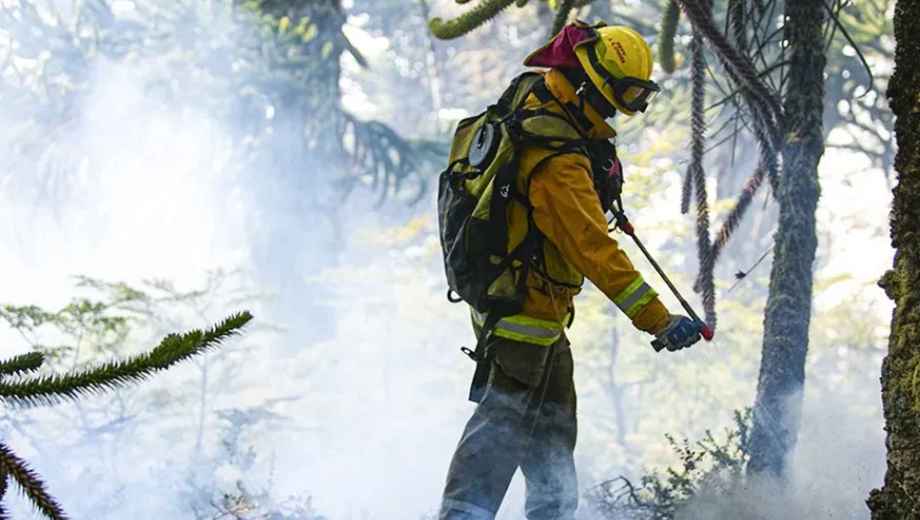 El operativo incluye camionetas todo terreno y una ambulancia del sistema sanitario provincial. Foto: Neuquén Informa.