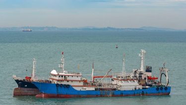 Revelan que otorgaron licencias de pesca a buques extranjeros con historial de infracciones