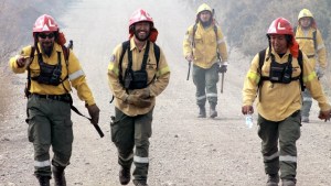 Incendios en la Patagonia: sin focos activos en Río Negro, la provincia previene y suma 50 brigadistas al SPLIF  