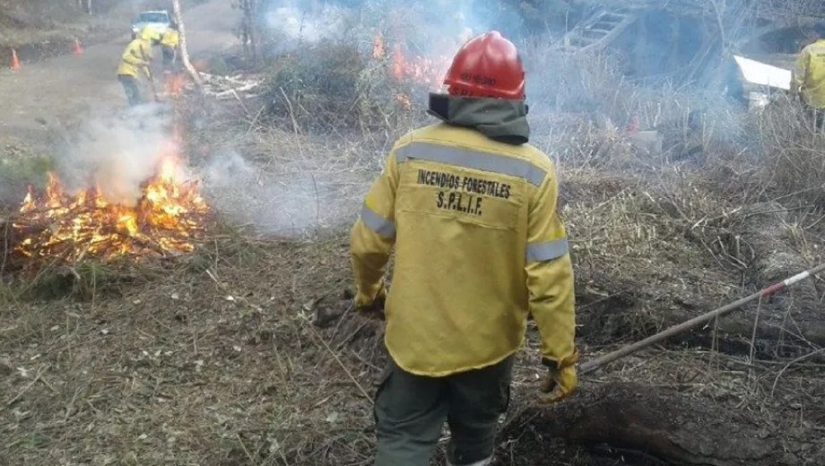 Brigadista de SPLIF.