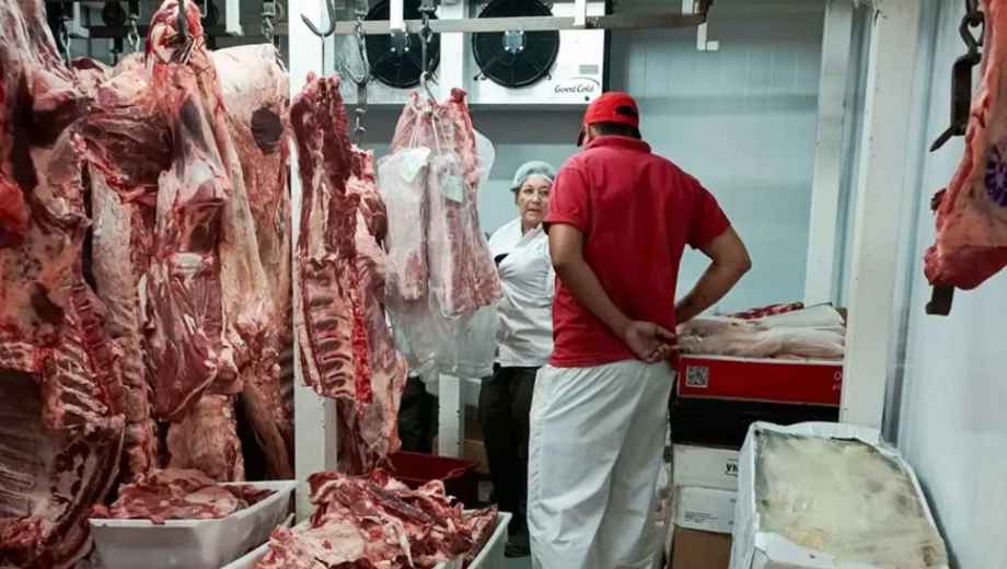 Carnicerías de Plottier fueron fiscalizadas por el CIPPA y el municipio. Foto: Gobierno de Neuquén.