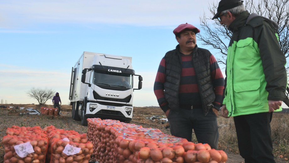 El cultivo bajo cubierta permite tener mayor disponibilidad de productos a lo largo del año.