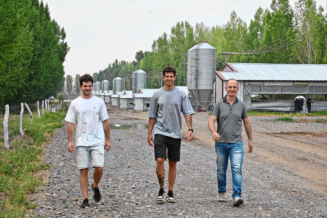 Juan y Francisco Montero, y Fabián Maionchi, recorriendo las granjas de pollos en Río Negro. Foto: Florencia Salto.