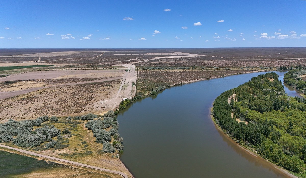 De vender verduras a liderar una megainversión: US$50 millones para producir alfalfa en el desierto patagónico