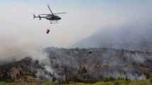 Imagen de «No podemos ir contra la naturaleza»: El humo complica la operación de los áereos en los incendios de Chubut