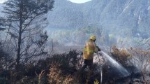 Imagen de Incendios en la Patagonia: Neuquén suma dos focos activos en el Parque Nacional Lanín 