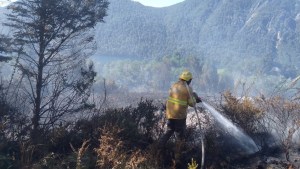 Incendios en la Patagonia: Neuquén suma dos focos activos en el Parque Nacional Lanín 