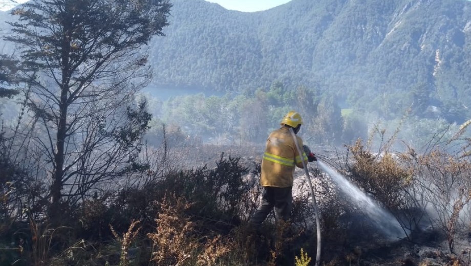 Incendio Parque Nacional Lanín.