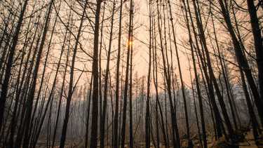 Zona de incendios: tormenta y viento en Chubut esta semana, cuándo llegarían las lluvias