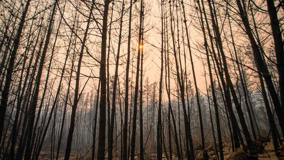 El pronóstico para El Hoyo y Esquel anticipa viento y precipitaciones aisladas.(Photo by Martin LEVICOY / AFP)