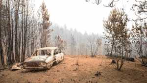 Alerta por incendios forestales en la Patagonia: continúan las tareas en Puerto Patriada