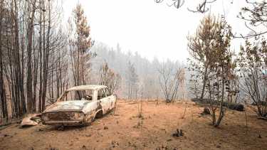 Alerta por incendios forestales en la Patagonia: continúan las tareas en Puerto Patriada