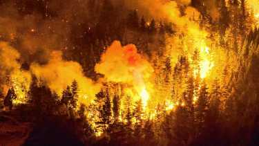 Incendios en la Patagonia: el Ministerio de Seguridad identificará y juzgará a los responsables