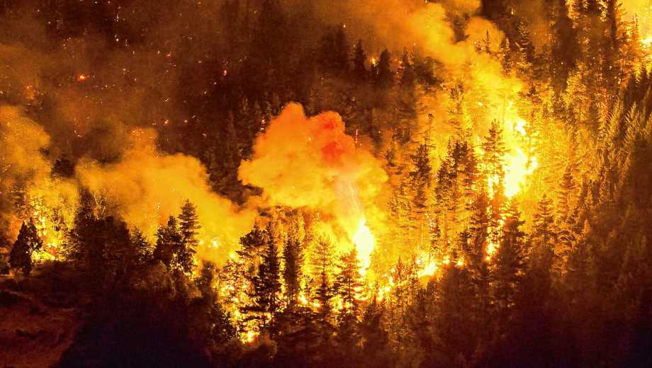 Incendios en la Patagonia. 