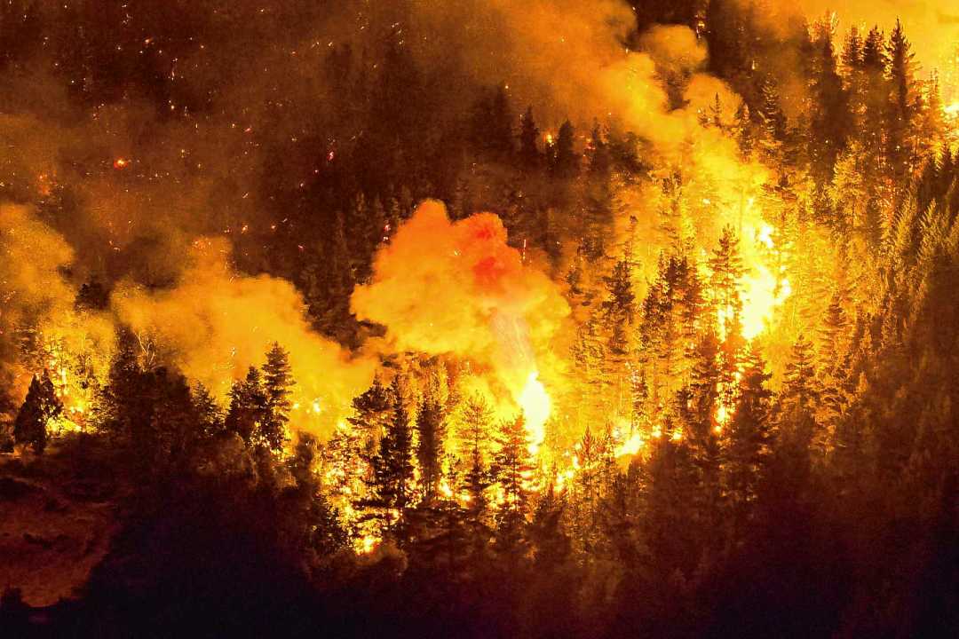La grave sequía que afecta a la Patagonia contribuyó a la rápida expansión de los incendios. Foto: gobierno de Chubut.