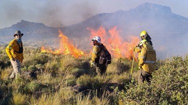 Incendios forestales: advierten por riesgo extremo en varias localidades de Neuquén