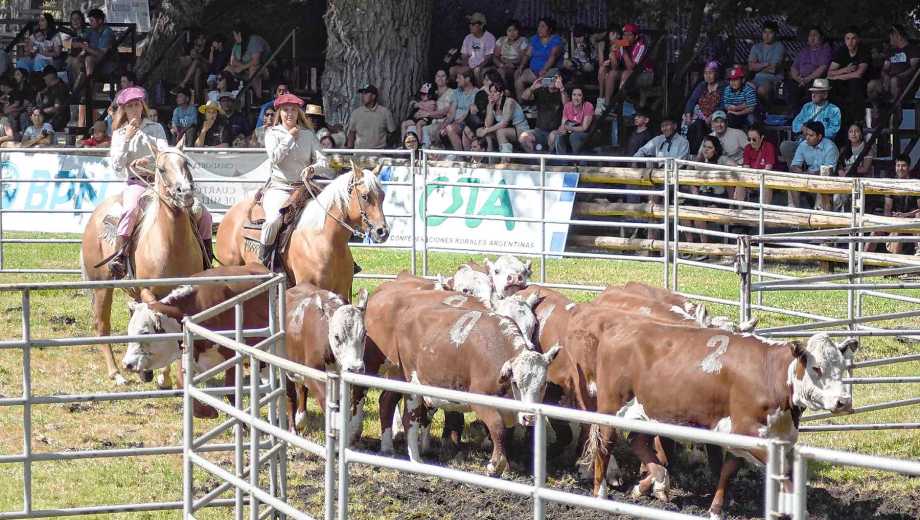 Imagen de la última Expo Rural de Neuquén, celebrada en Junín de los Andes en enero. Foto: archivo.