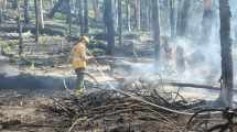 Imagen de Extinguieron el incendio subterráneo en el Parque Nacional Lanín: “Rápido despliegue”