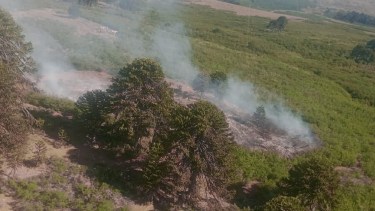 Incendios en la Patagonia: en el Parque Lanín, avanza el control en Rucachoroi y sigue la lucha contra el fuego en Magdalena