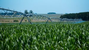 Cómo hizo una empresa argentina para aumentar medio punto en un año la materia orgánica del suelo