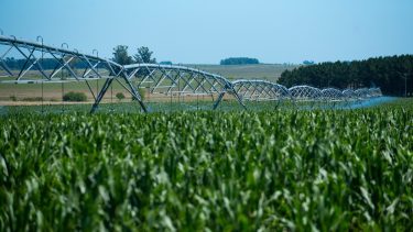 Cómo hizo una empresa argentina para aumentar medio punto en un año la materia orgánica del suelo
