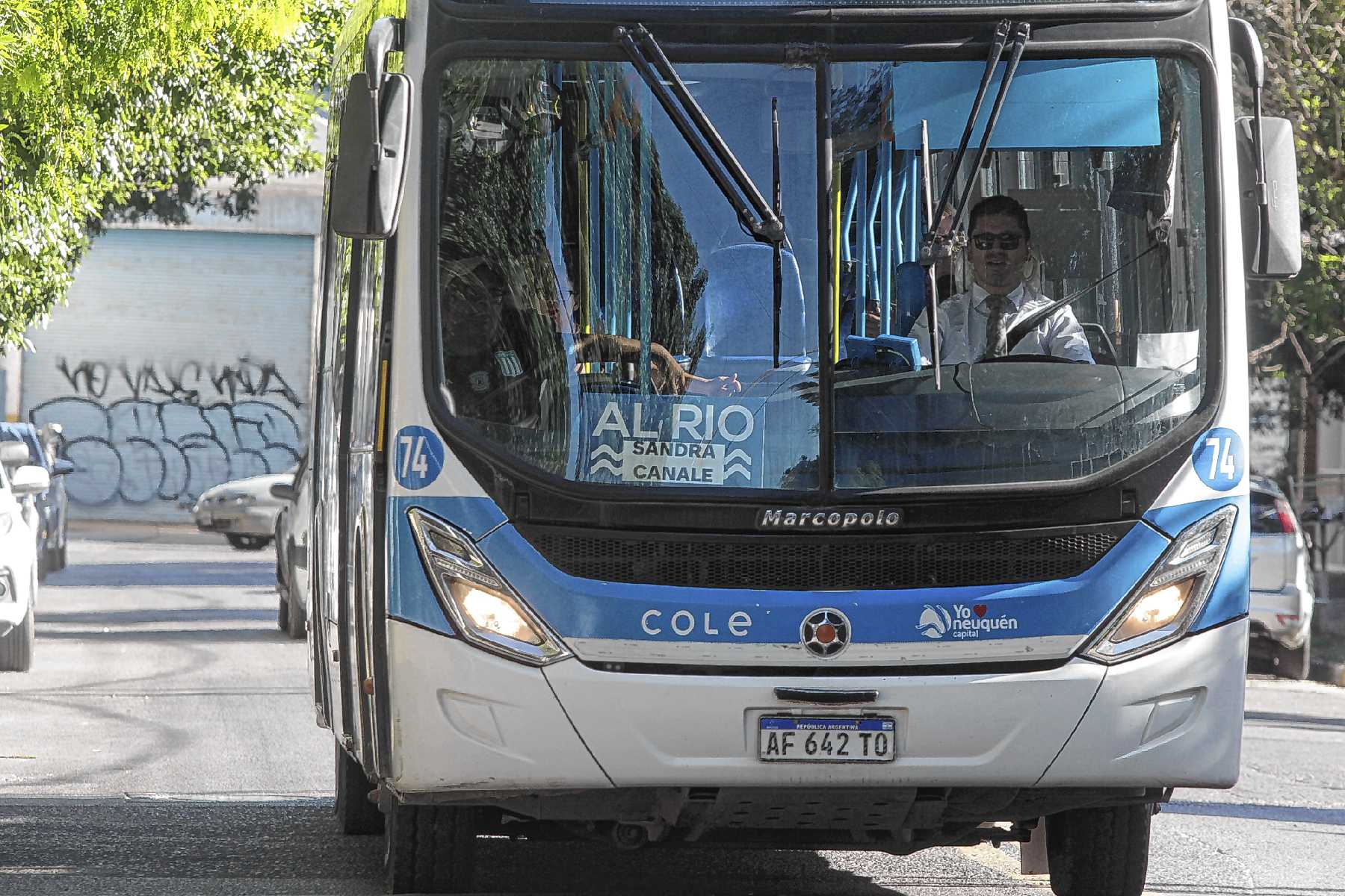 Mapa | Colectivos gratis para la Fiesta de la Confluencia 2026 en Neuquén: horarios, paradas y todo lo que tenés que saber