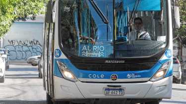 Mapa | Colectivos gratis para la Fiesta de la Confluencia 2026 en Neuquén: horarios, paradas y todo lo que tenés que saber